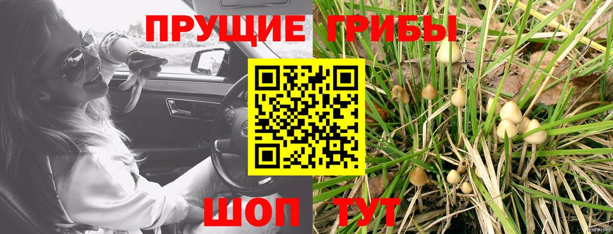 Кандалакша  Галлюциногенные грибы Cubensis  Псилоцибиновые грибы Magic Shrooms  Вход с VPN 