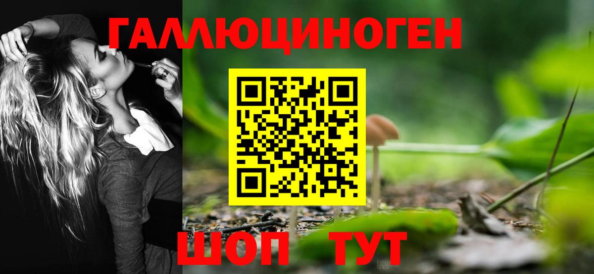Метадон Кандалакша